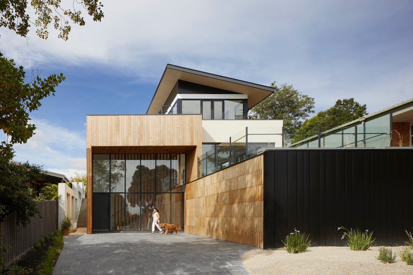 Contemporary house with timber and black cladding and a glass-fronted entrance
