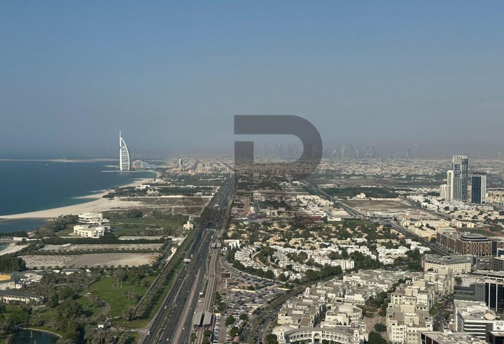Palm View — photo 01